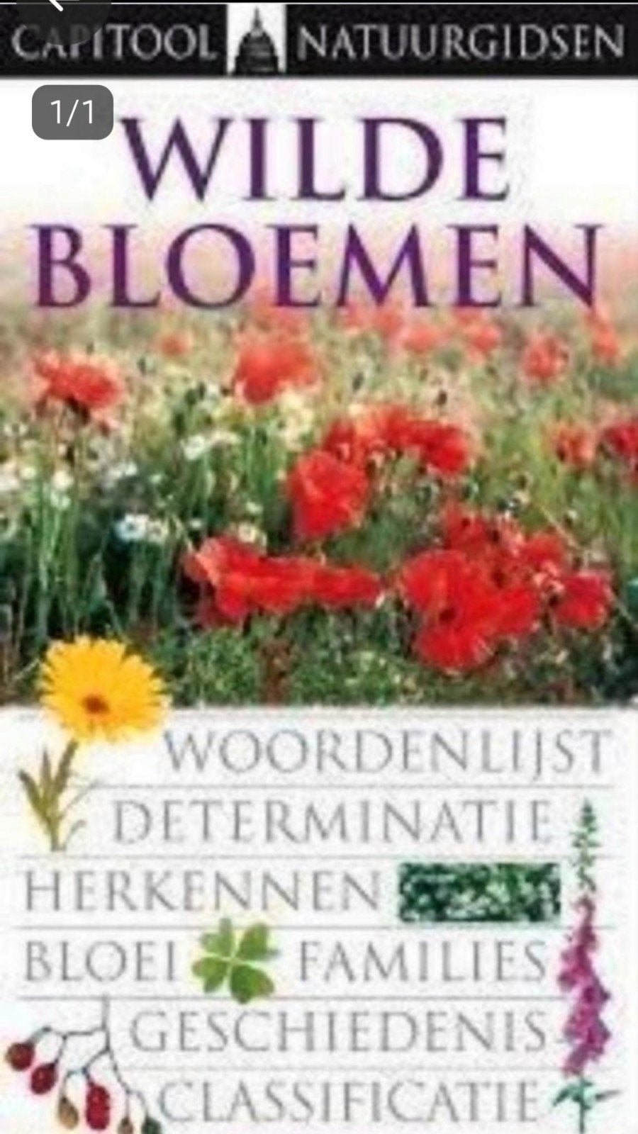WILDE BLOEMEN capitool natuurgids Nederlands, Ophalen of Verzenden, Zo goed als nieuw