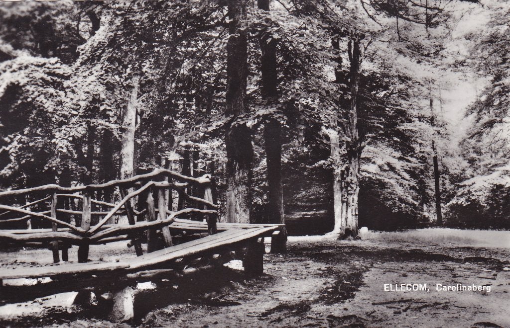 Ellecom, Carolinaberg - Gelopen, Verzenden, 1960 tot 1980, Gelopen, Gelderland