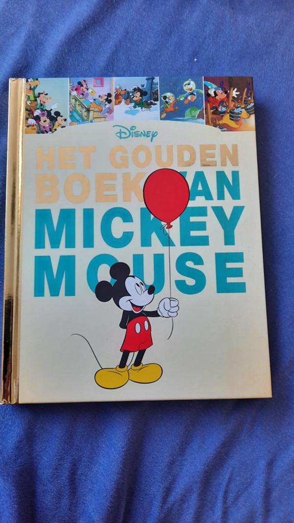 Het gouden boek van Mickey Mouse, Verzamelen, Ophalen of Verzenden, Zo goed als nieuw