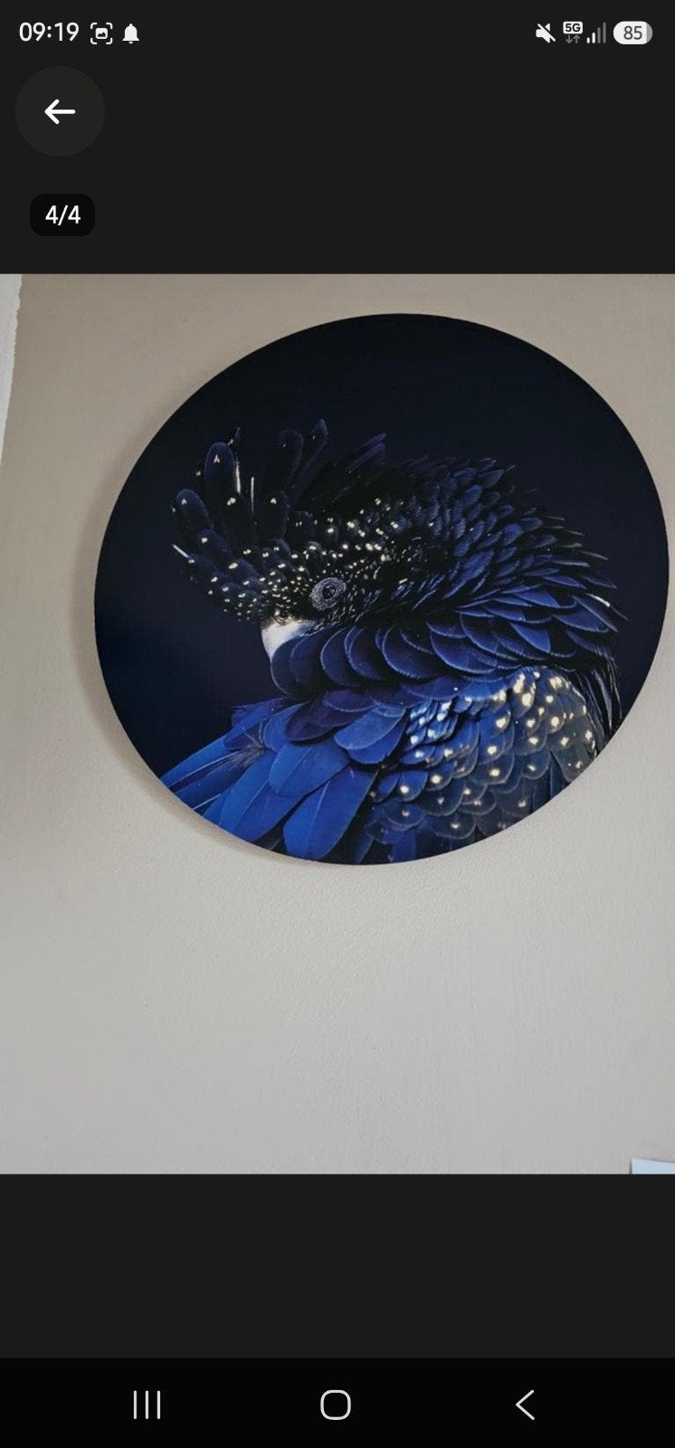 Papagaai Muurcirkel 50cm Doorsnede - Prachtige Wanddecoratie, Hout, Nieuw, Ophalen of Verzenden, Wandcirkel