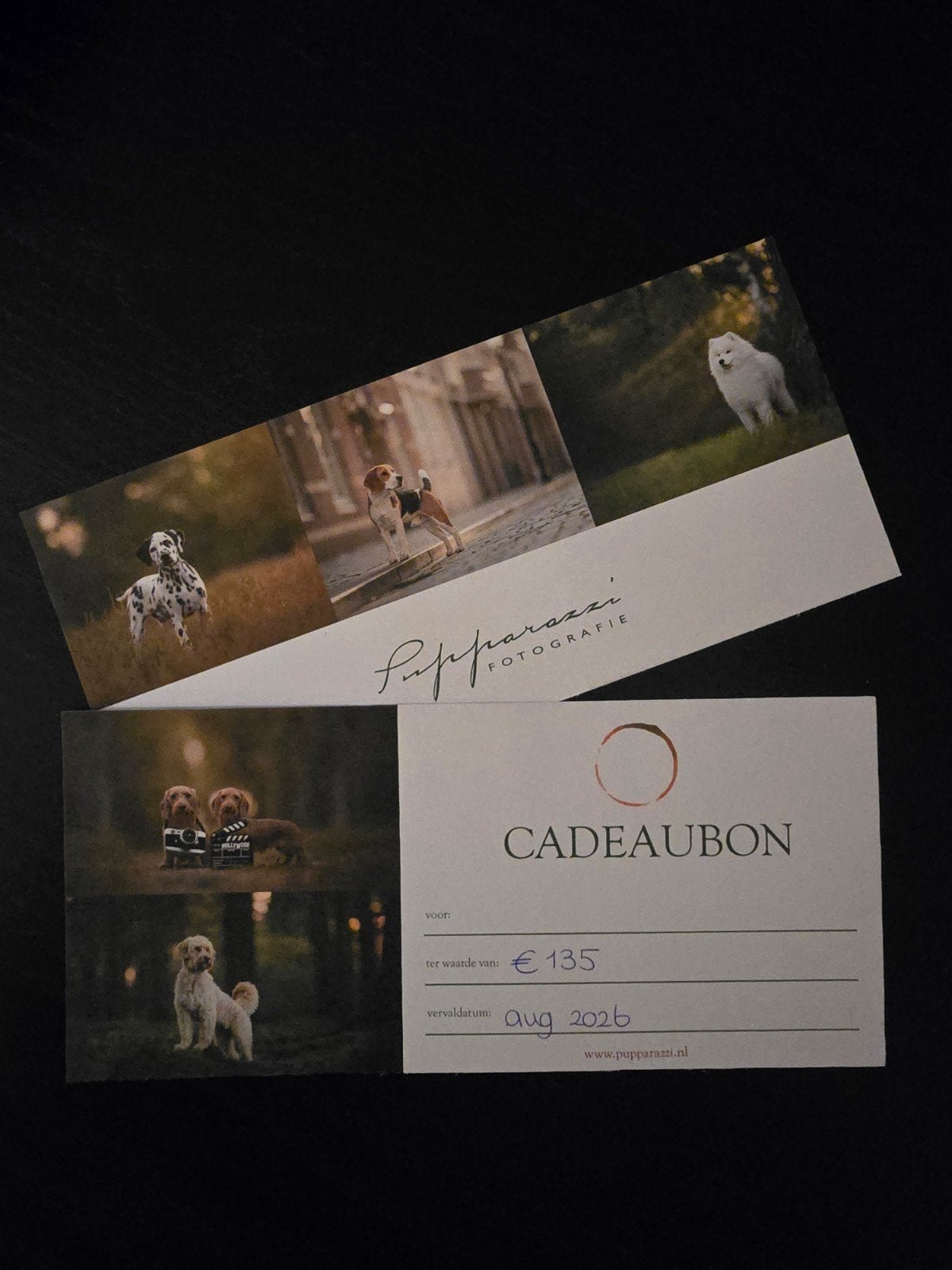 Cadeaubon voor een fotoshoot van jouw hond!, Eén persoon, Cadeaubon, Overige typen