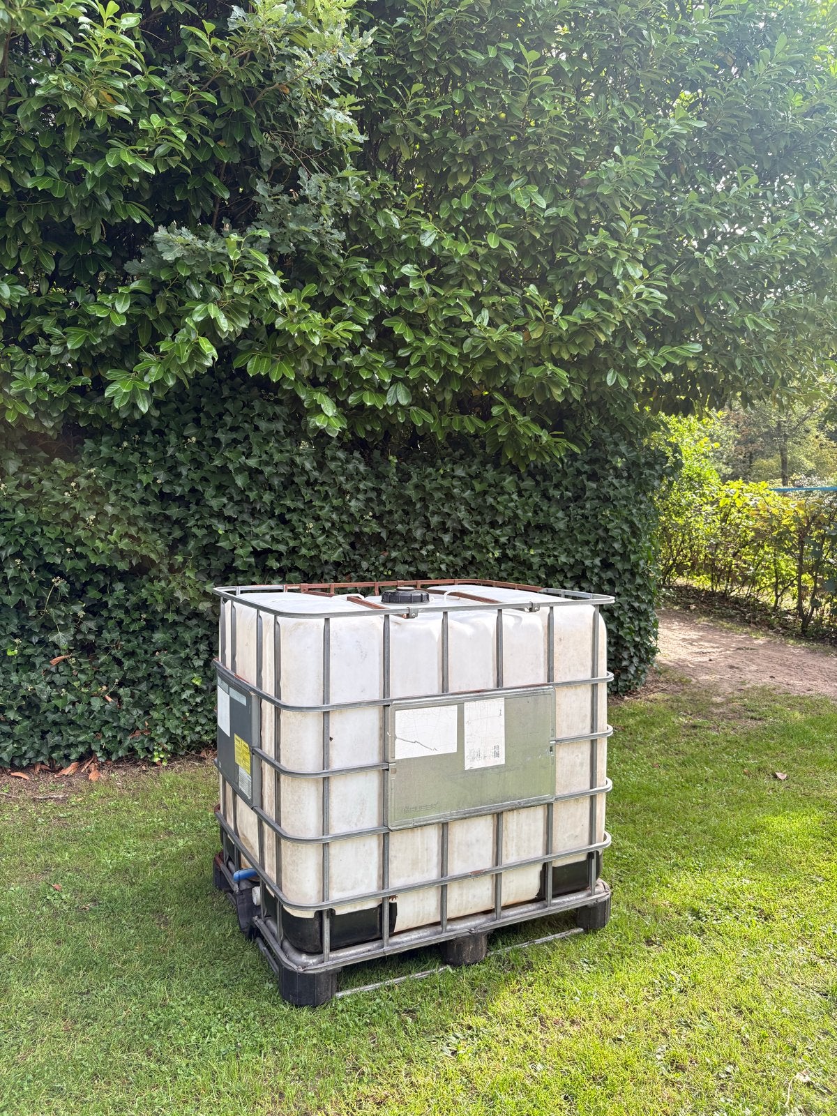 IBC Watertank 1000L, Tuin en Terras, Regentonnen, Ophalen, Kunststof, Gebruikt, Met kraantje