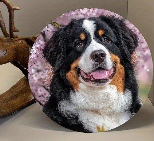 Berner Sennen ( metaal ), Verzenden, Nieuw
