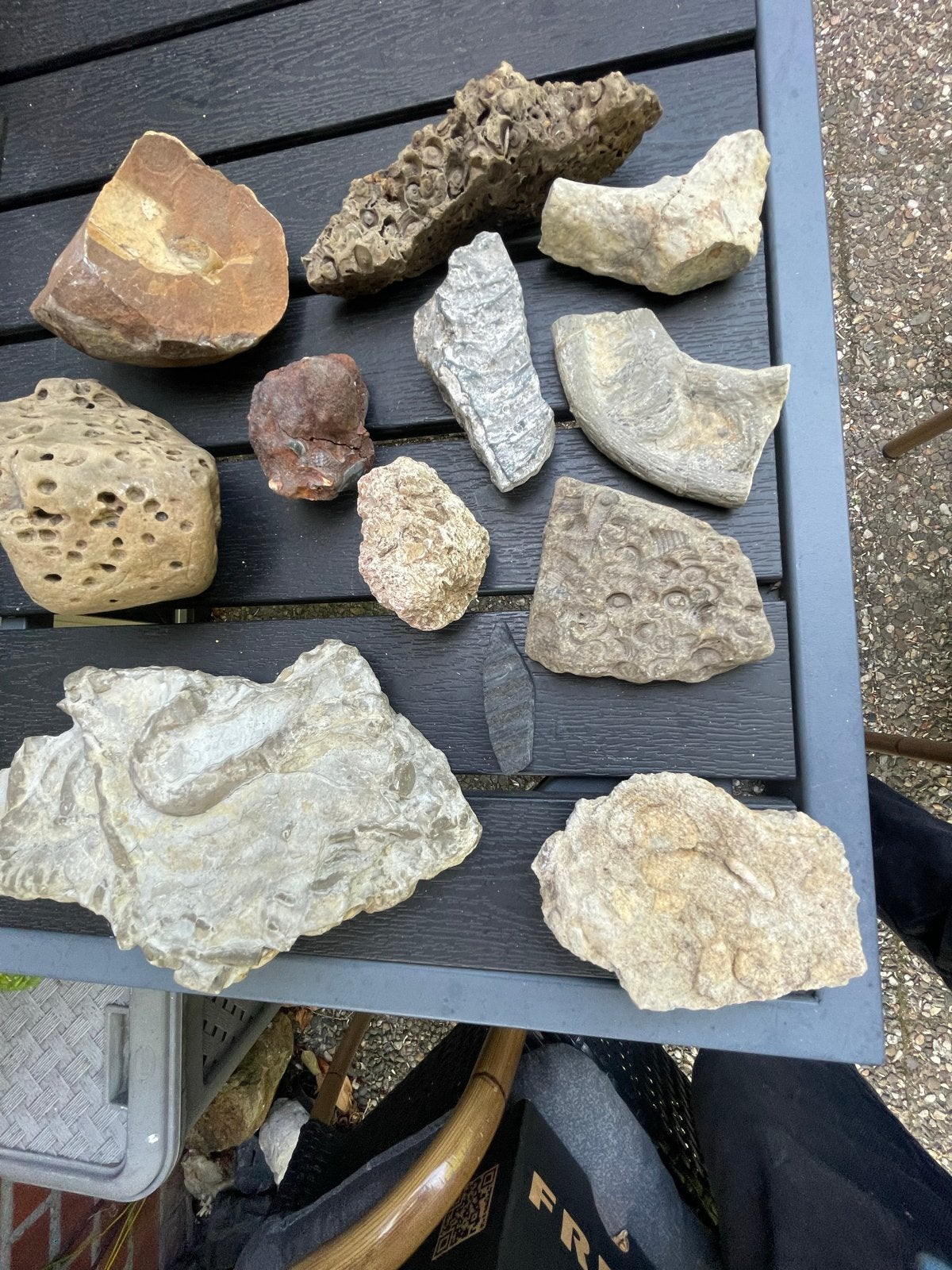 Diverse collectie fossielen en mineralen, Ophalen of Verzenden, Fossiel