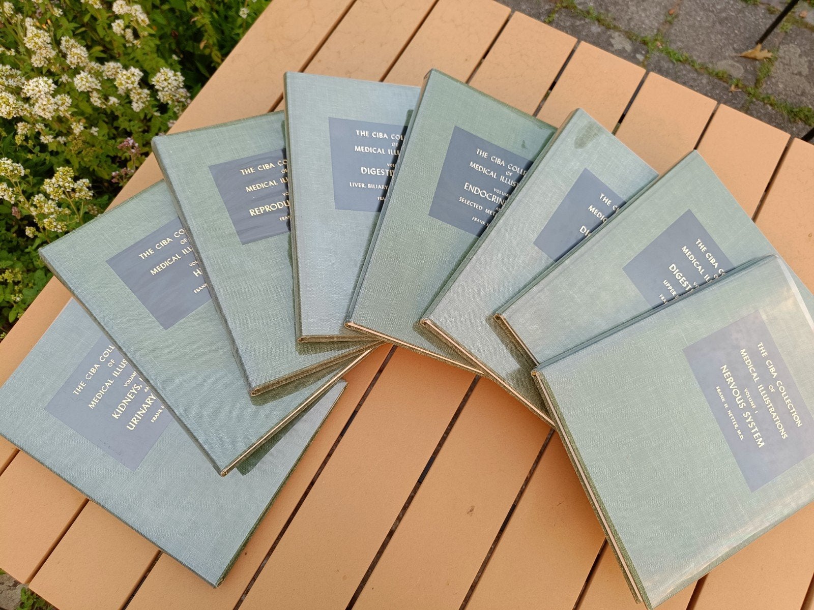 The CIBA Collection of Medical Illustrations 8 delen, Frank H. Netter, WO, Beta, Ophalen