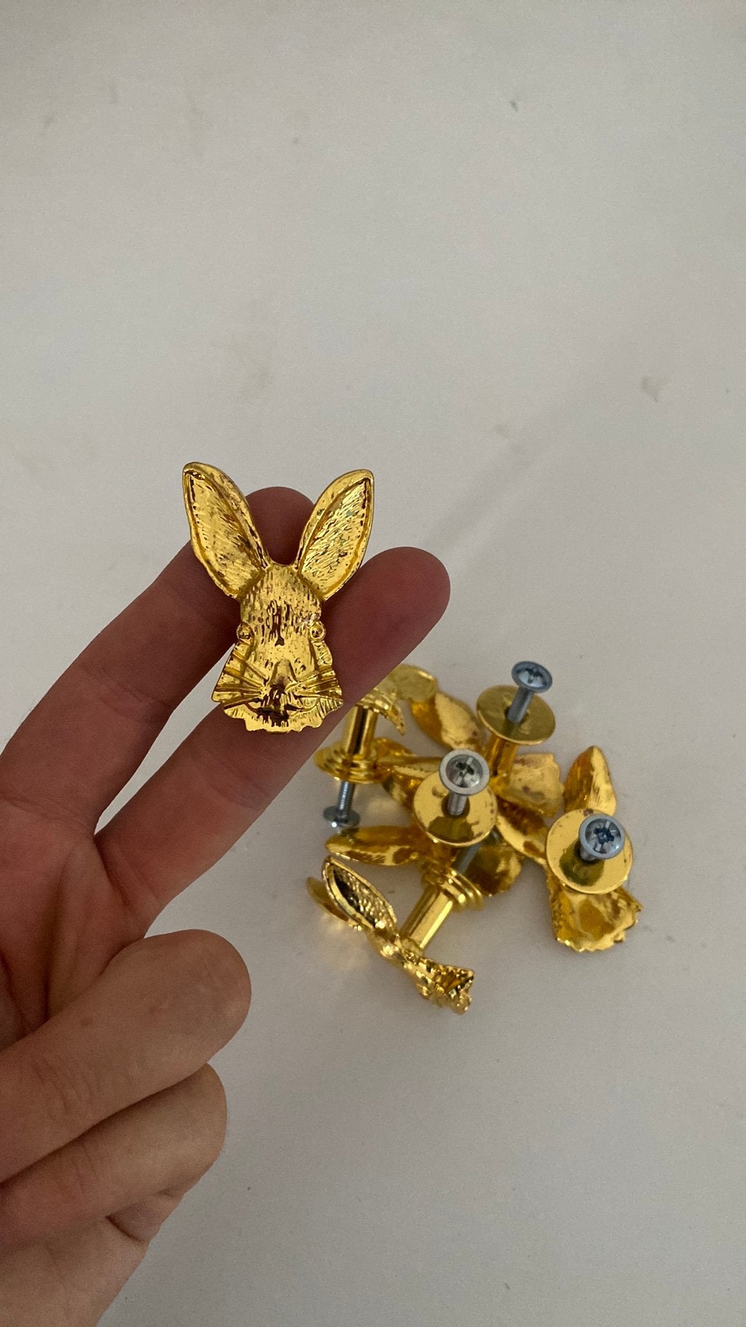 Knop konijn goud 6x, Ophalen of Verzenden, Zo goed als nieuw, Overige typen