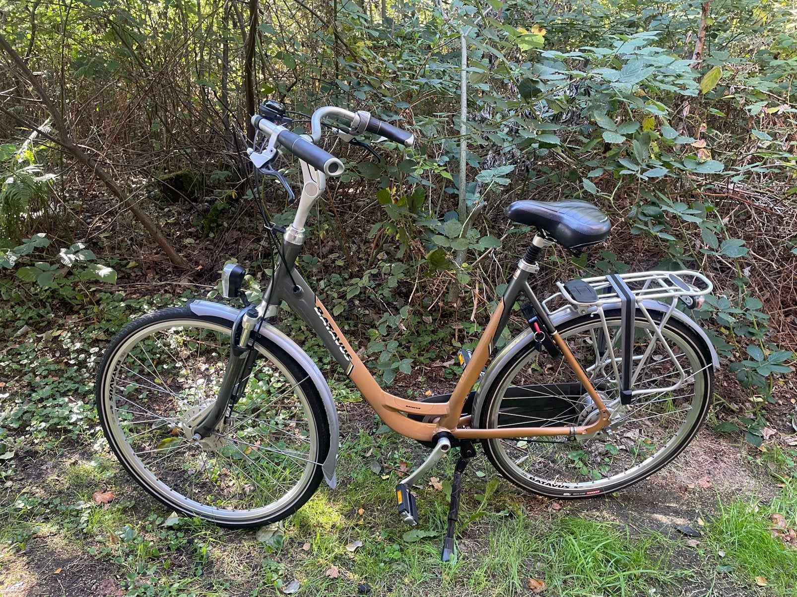 Batavus Damensfiets 28 inch framemaat 57 cm, Ophalen, Versnellingen, Batavus, 56 cm of meer