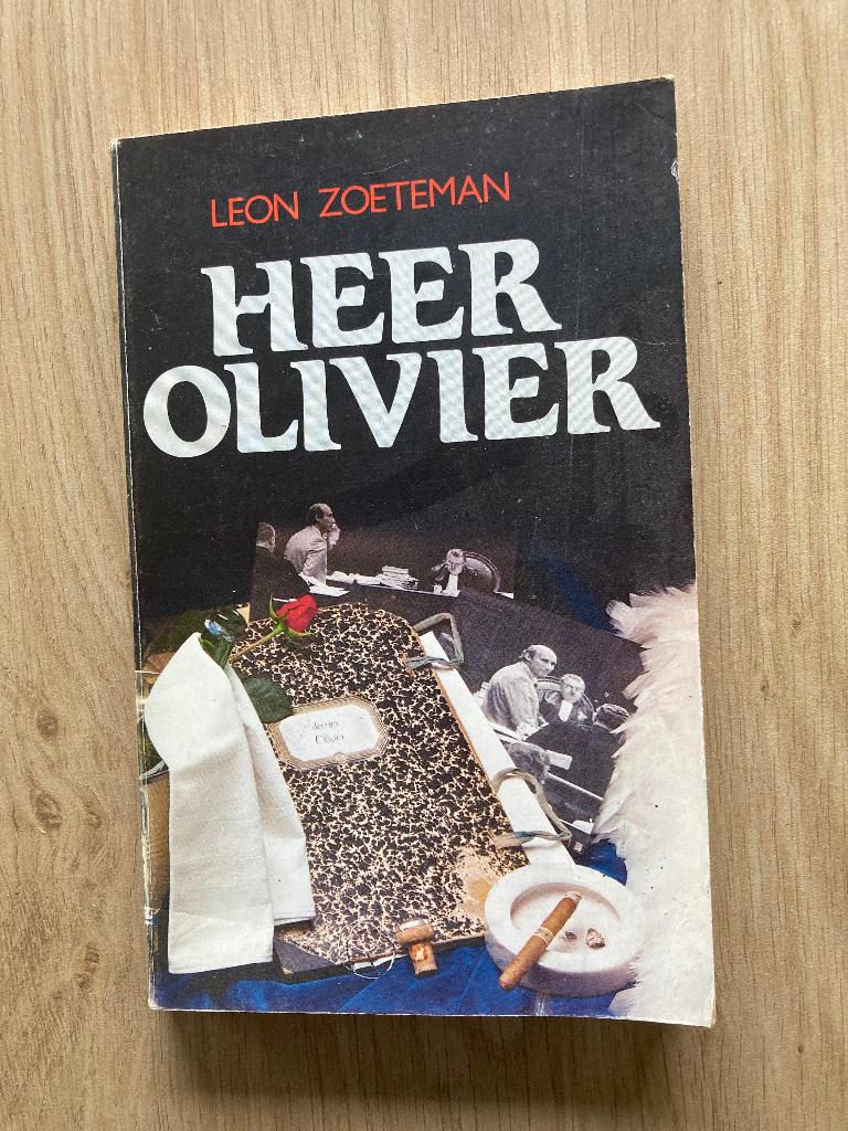 Boek Leon Zoeteman, Boeken, Ophalen of Verzenden, Gelezen