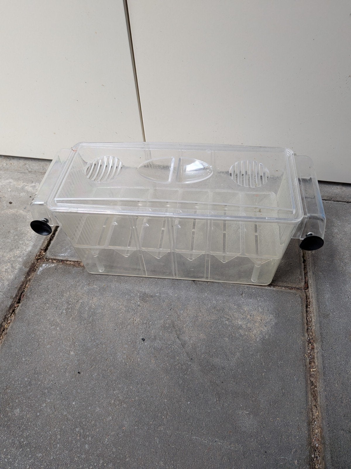 aquarium bakje voor kleine vissen op te laten groeien, Ophalen of Verzenden