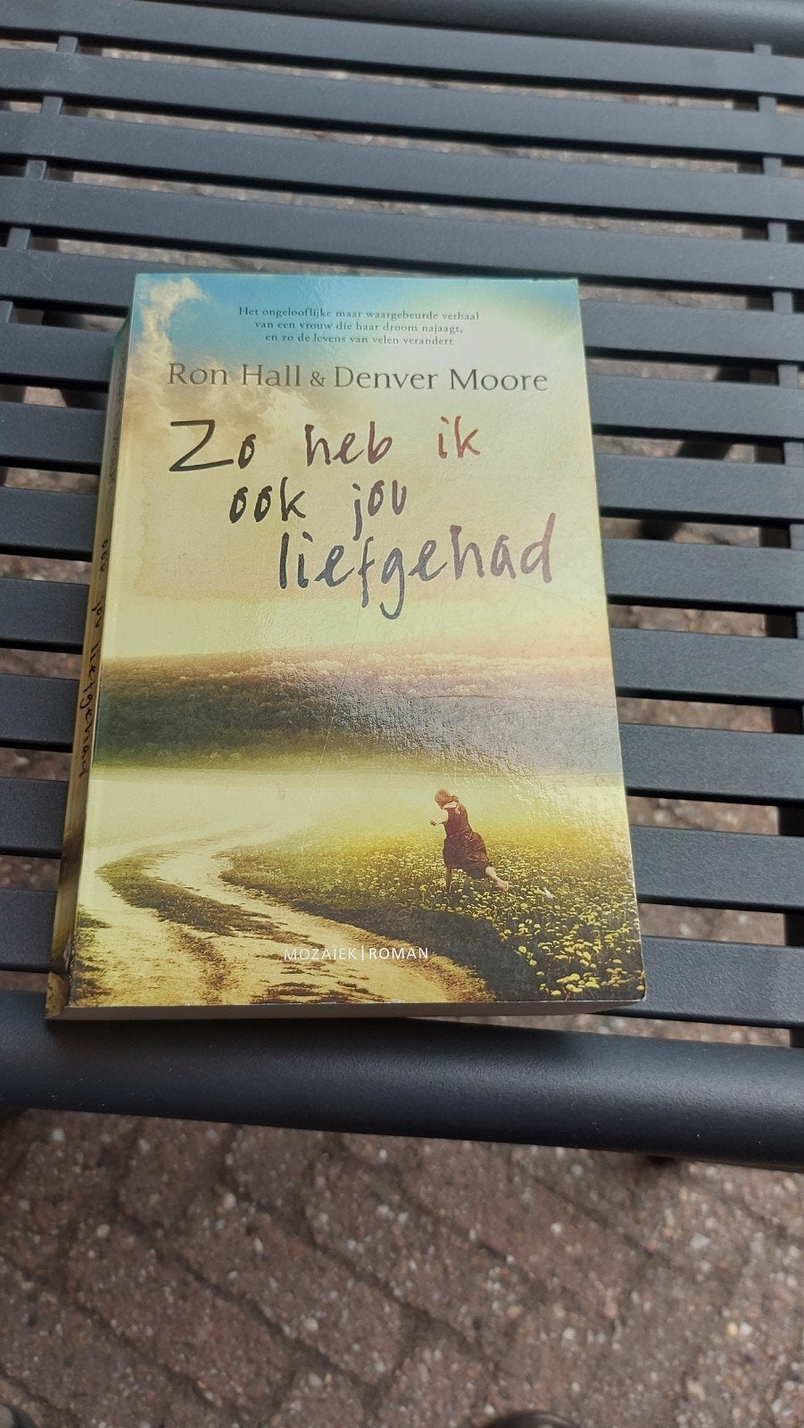 Zo heb ik ook jou liefgehad - Ron Hall & Denver Moore, Boeken, Ophalen of Verzenden, Gelezen, Ron Hall & Denver Moore, Nederland