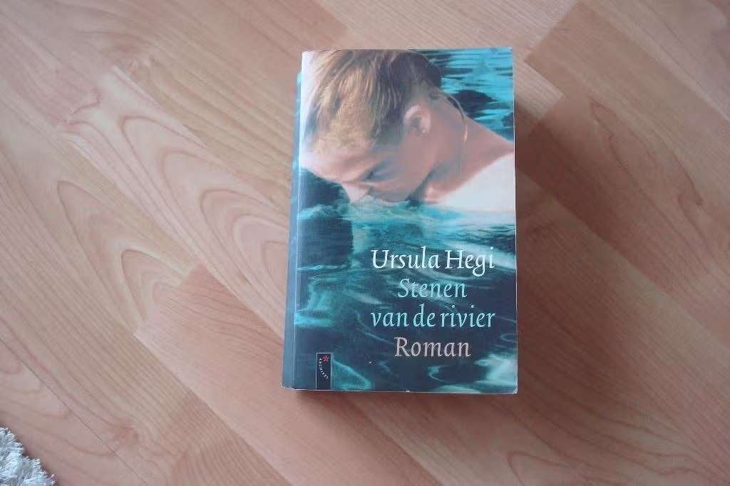Stenen van de rivier - Ursula Hegi, Boeken, Ophalen of Verzenden, Gelezen