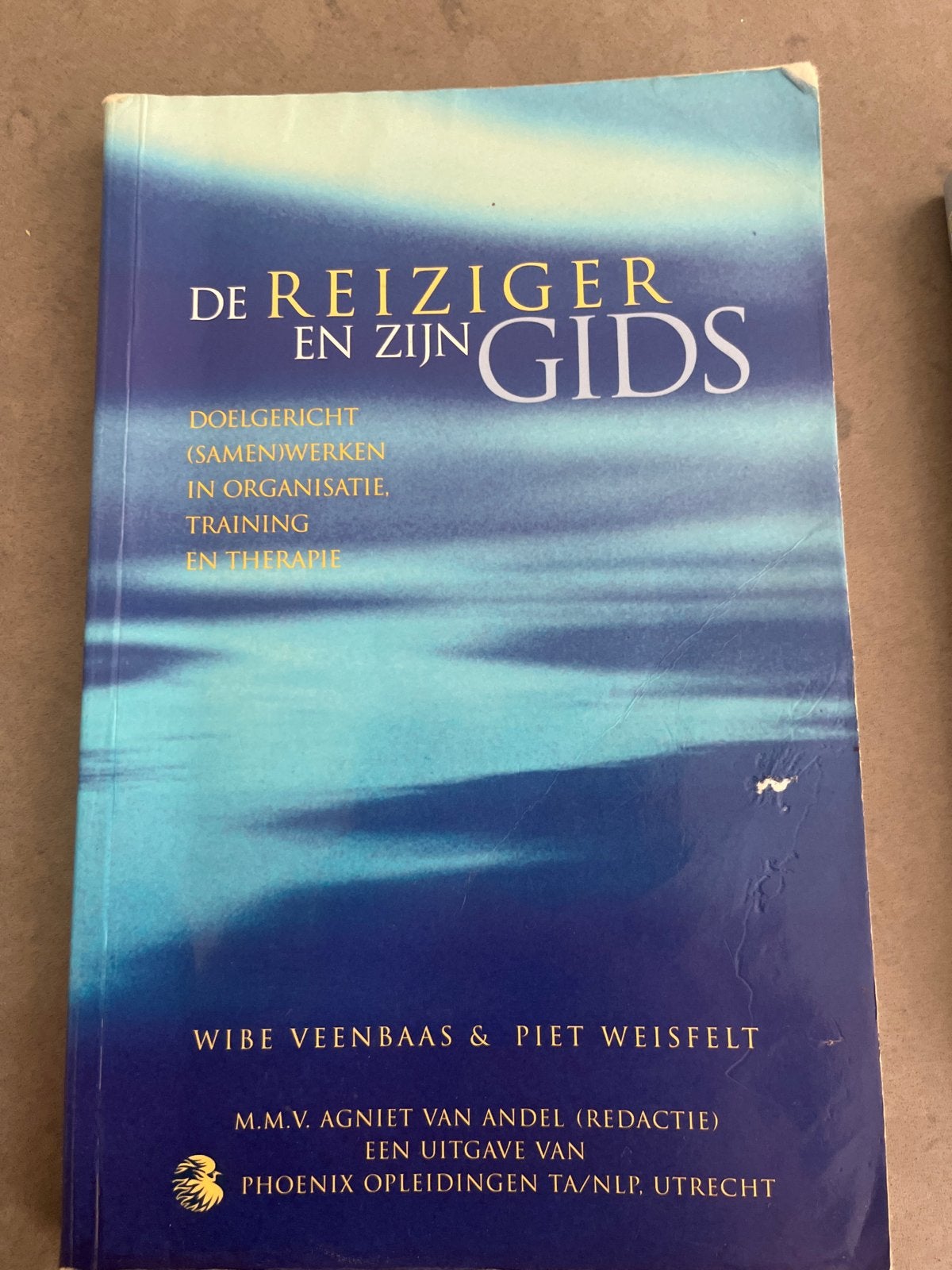 De Reiziger en zijn Gids - Wibe Veenbaas & Piet Weisfelt, Boeken, Ophalen of Verzenden, Gelezen, Sociale psychologie