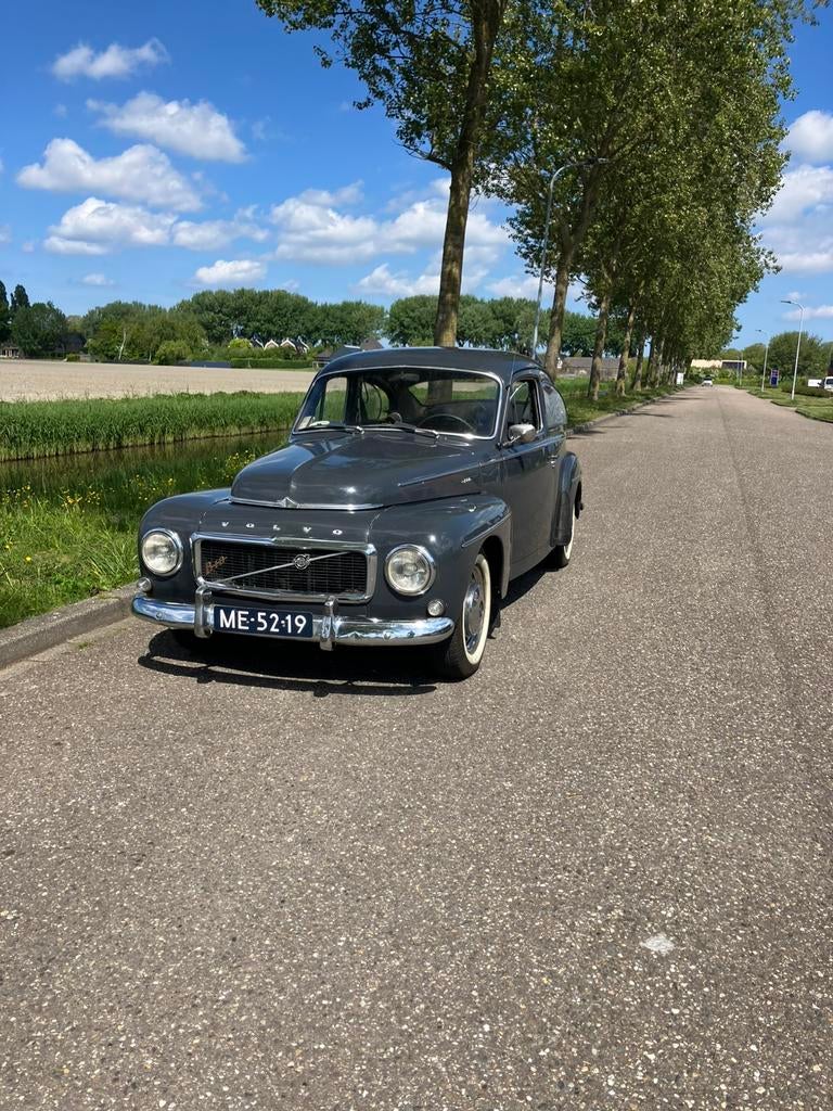 Volvo Pv544 1.8 C 1964 Grijs Oldtimer !!, 4 cilinders, Handgeschakeld, Particulier, Zilver of Grijs