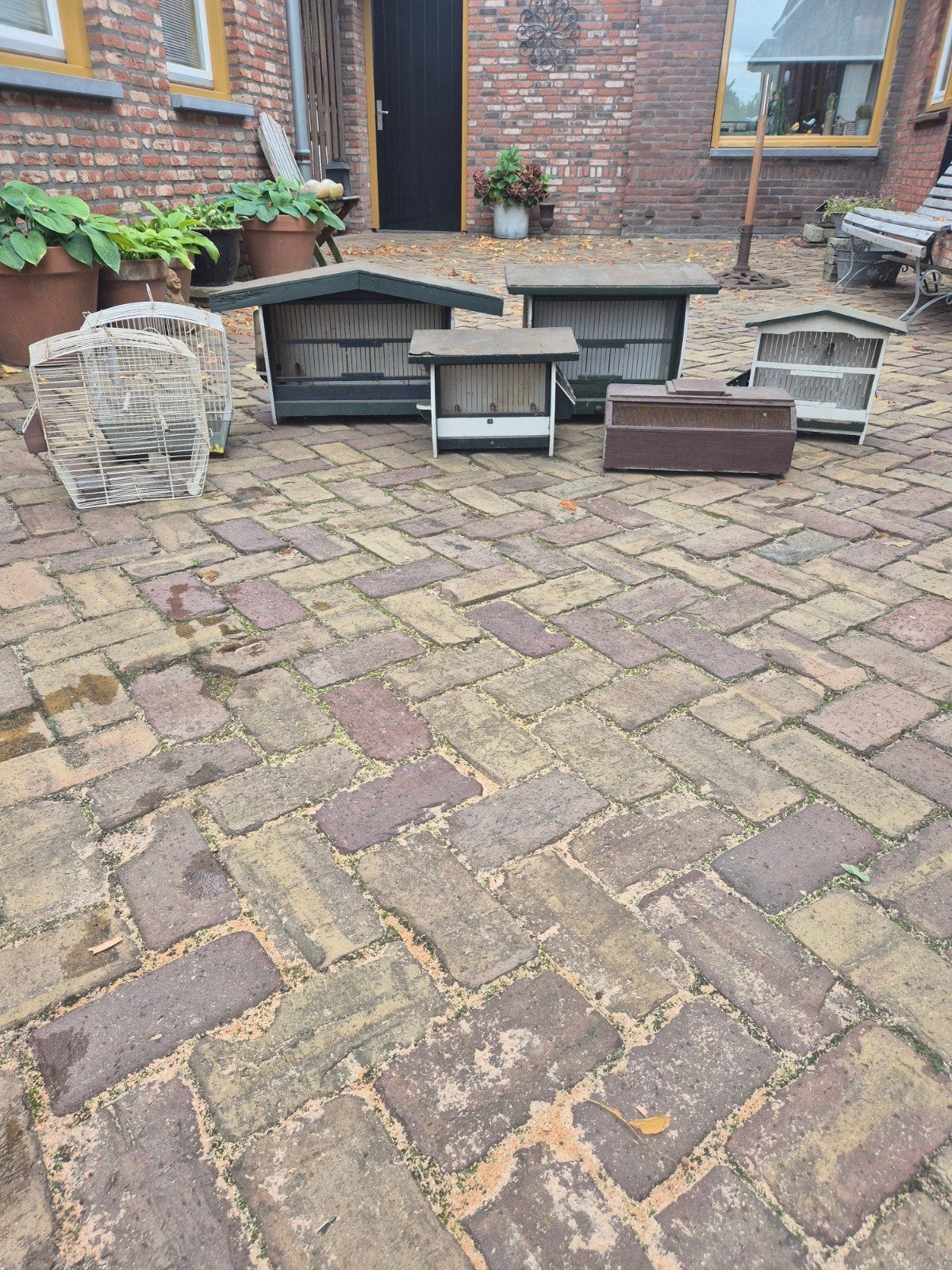 Vogelkooien en transportdoosje, Dieren en Toebehoren, Ophalen, Nieuw, Kooi-accessoires