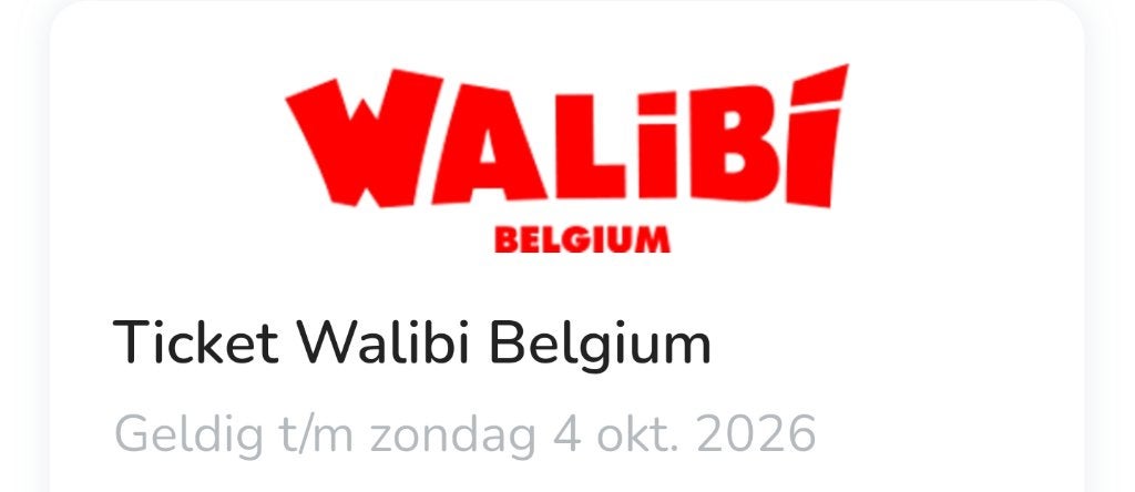 Walibi belgium 1p, Tickets en Kaartjes, Eén persoon, Ticket of Toegangskaart
