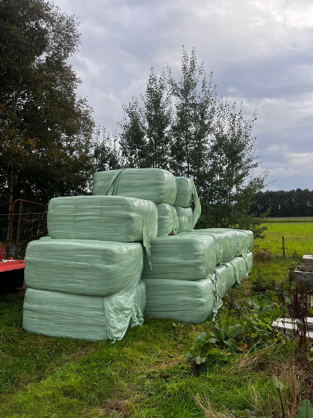 Najaars hooipakken te koop, Ophalen, Vee