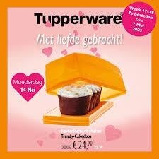 Trendy Tupperware Cakedoos - Nieuw in 2 kleuren, Ophalen of Verzenden, Nieuw, Blauw, Overige typen
