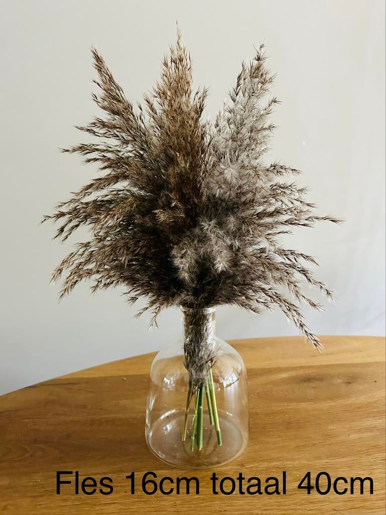 Glazen fles met pluimen - 40 cm hoog, Ophalen, Overige kleuren, Minder dan 50 cm, Glas