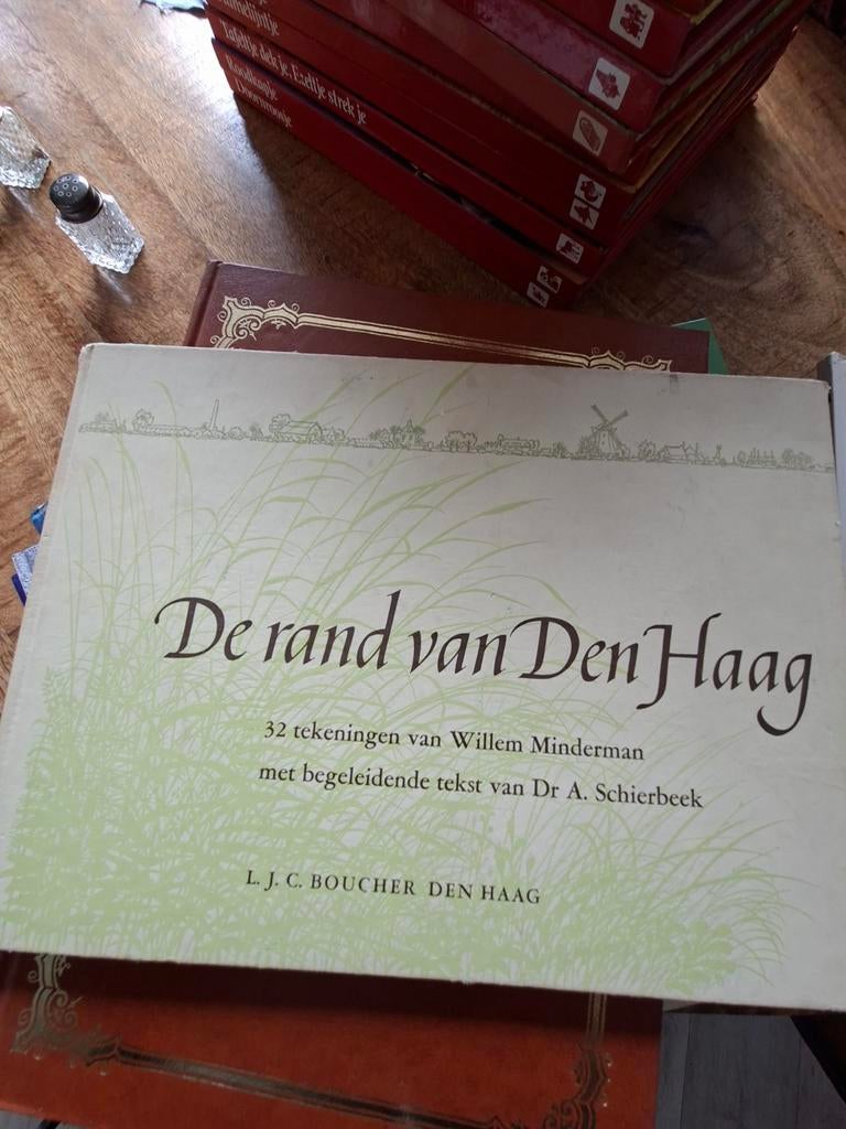 Boekje over Den Haag, Ophalen of Verzenden, Zo goed als nieuw