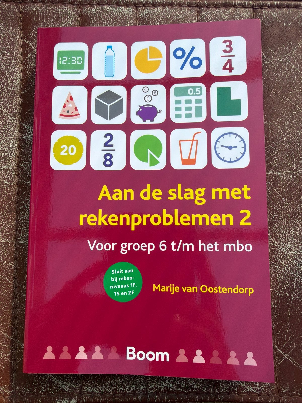 Rekencoördinator: Aan de slag met rekenproblemen 2, Ophalen of Verzenden, Beta, Zo goed als nieuw, MBO