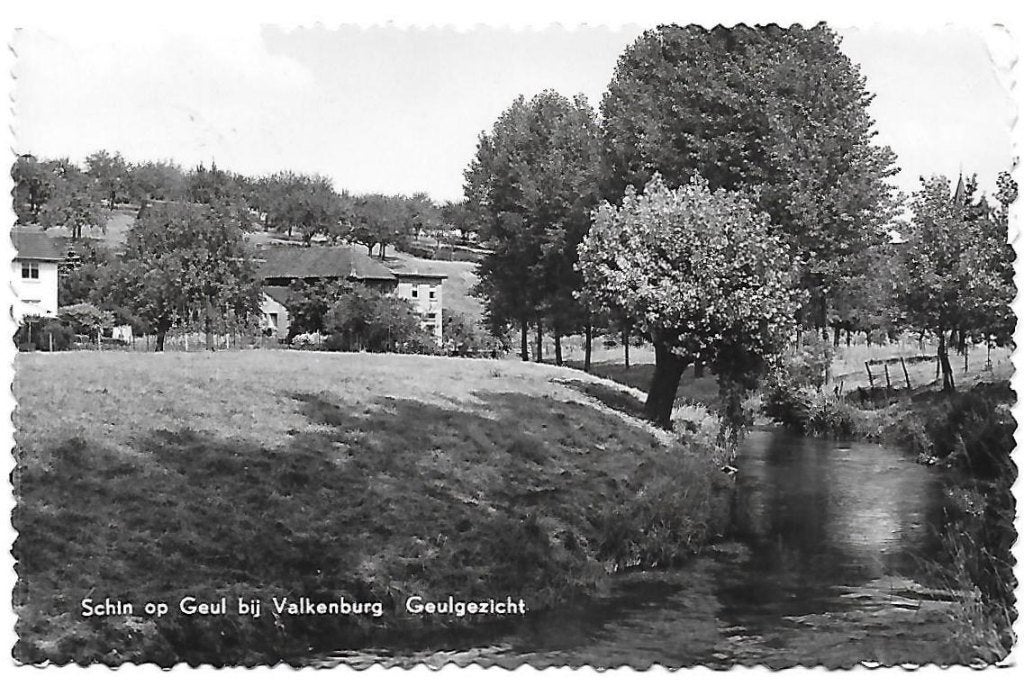 Schin op Geul Geulgezicht Oude Ansichtkaart ( 1245 ), Ophalen of Verzenden, 1960 tot 1980, Gelopen, Limburg