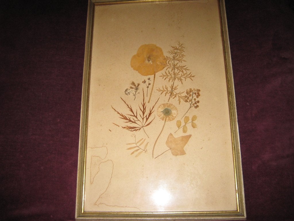 Bild met gedroogde bloemen, Ophalen of Verzenden, Gebruikt, Overige typen