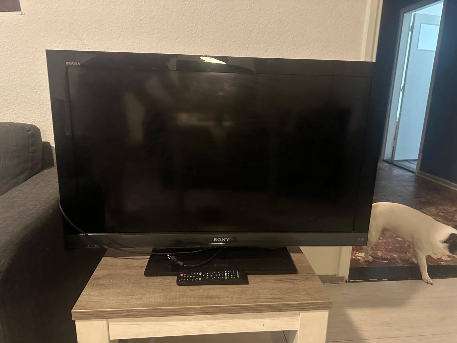 te koop Sonny tv met universele afstandsbediening, Ophalen, 100 cm of meer, 50 Hz, Sony
