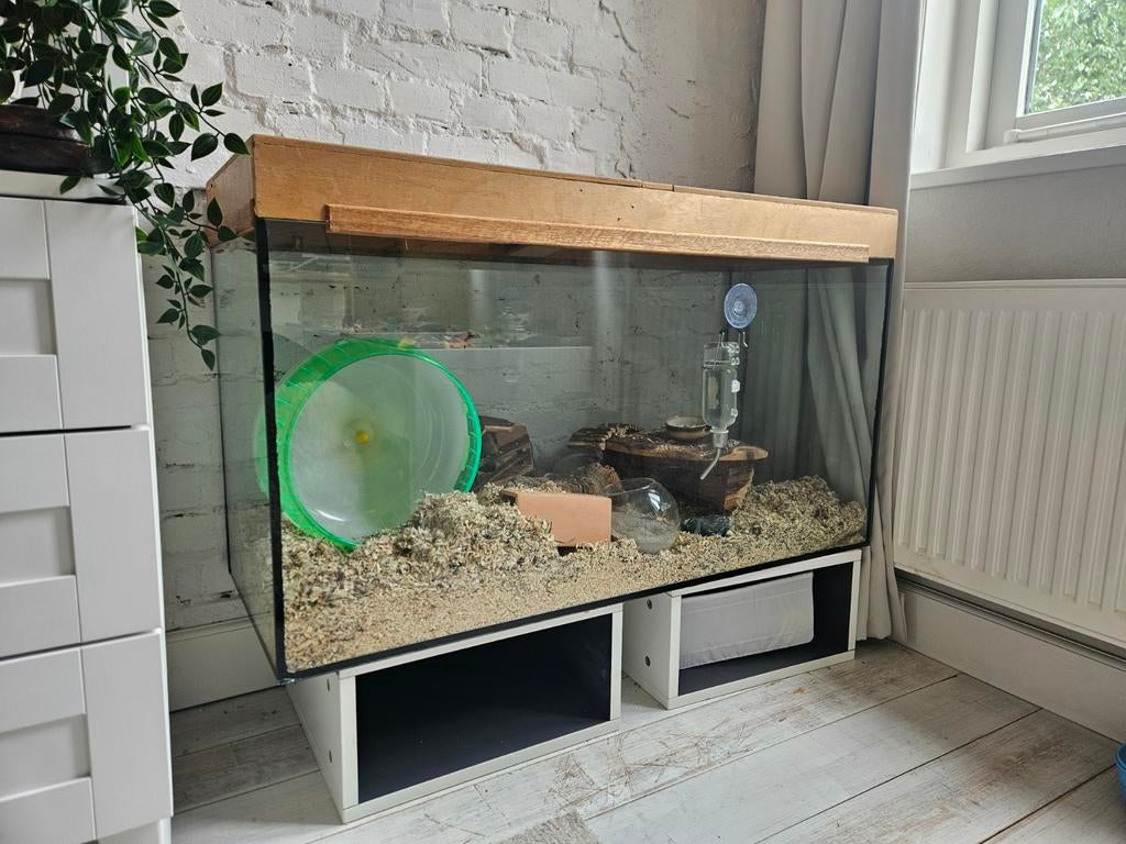 Mooie grote hamsterkooi met alle accesoires, Ophalen, Kooi, 110 cm of meer, 60 tot 90 cm