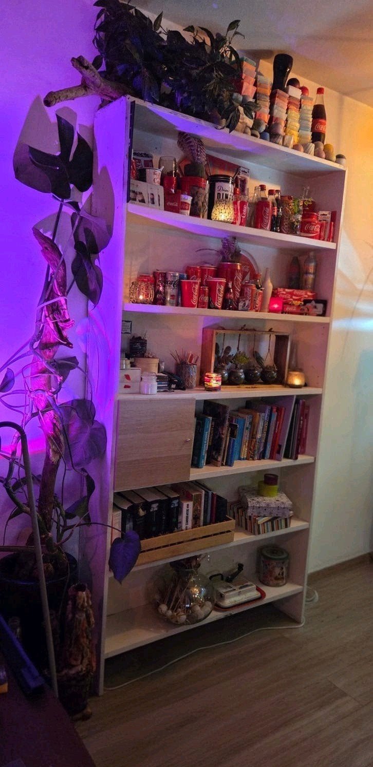 Massief houten (boeken) kast, Ophalen, Met plank(en), Gebruikt, 100 tot 150 cm