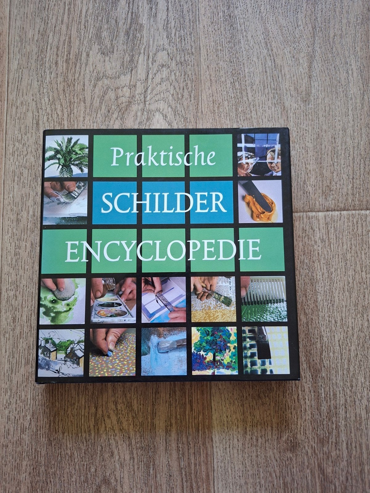 Praktische Schilder-Encyclopedie - Elizabeth Tate, Ophalen of Verzenden, Gelezen, Overige onderwerpen, Elizabeth Tate