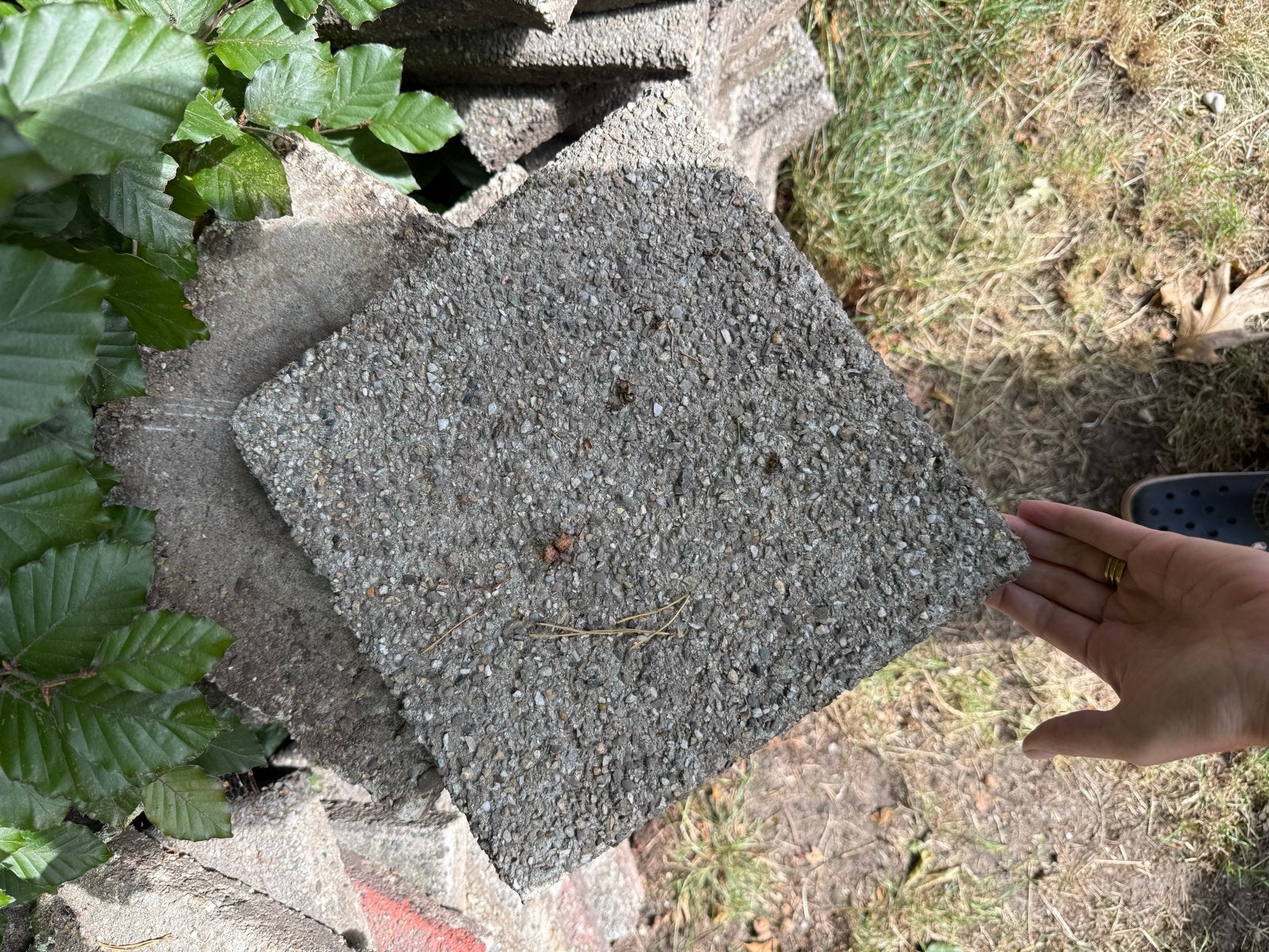 Gratis gebruikte terrastegels 30x30, Tuin en Terras, Tegels en Klinkers, Ophalen, Gebruikt, Minder dan 5 m², Beton