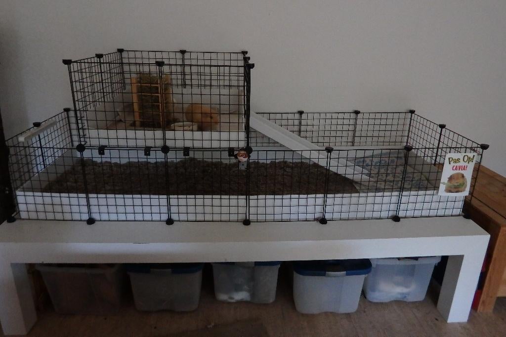 Originele draadkubus caviakooi 220x75 cm, Dieren en Toebehoren, Knaagdieren en Konijnen | Hokken en Kooien, Ophalen, Kooi, 60 tot 90 cm