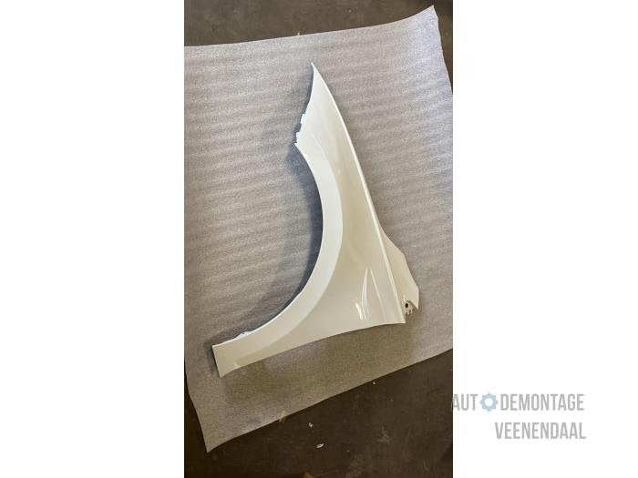 Scherm links-voor van een Volkswagen Polo (LC9A), -, Volkswagen, -, Nieuw