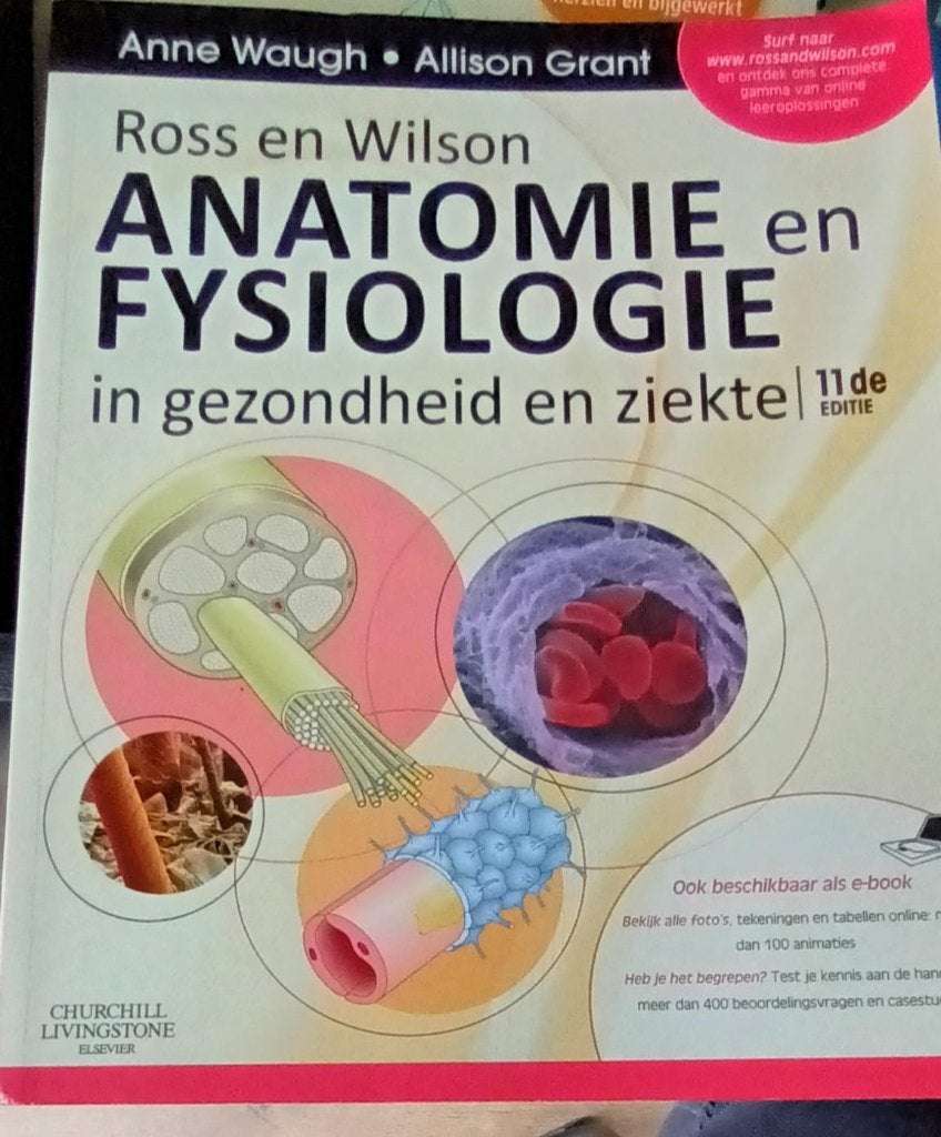 Anatomie Fysiologie, Ophalen of Verzenden, Beta, Zo goed als nieuw, MBO