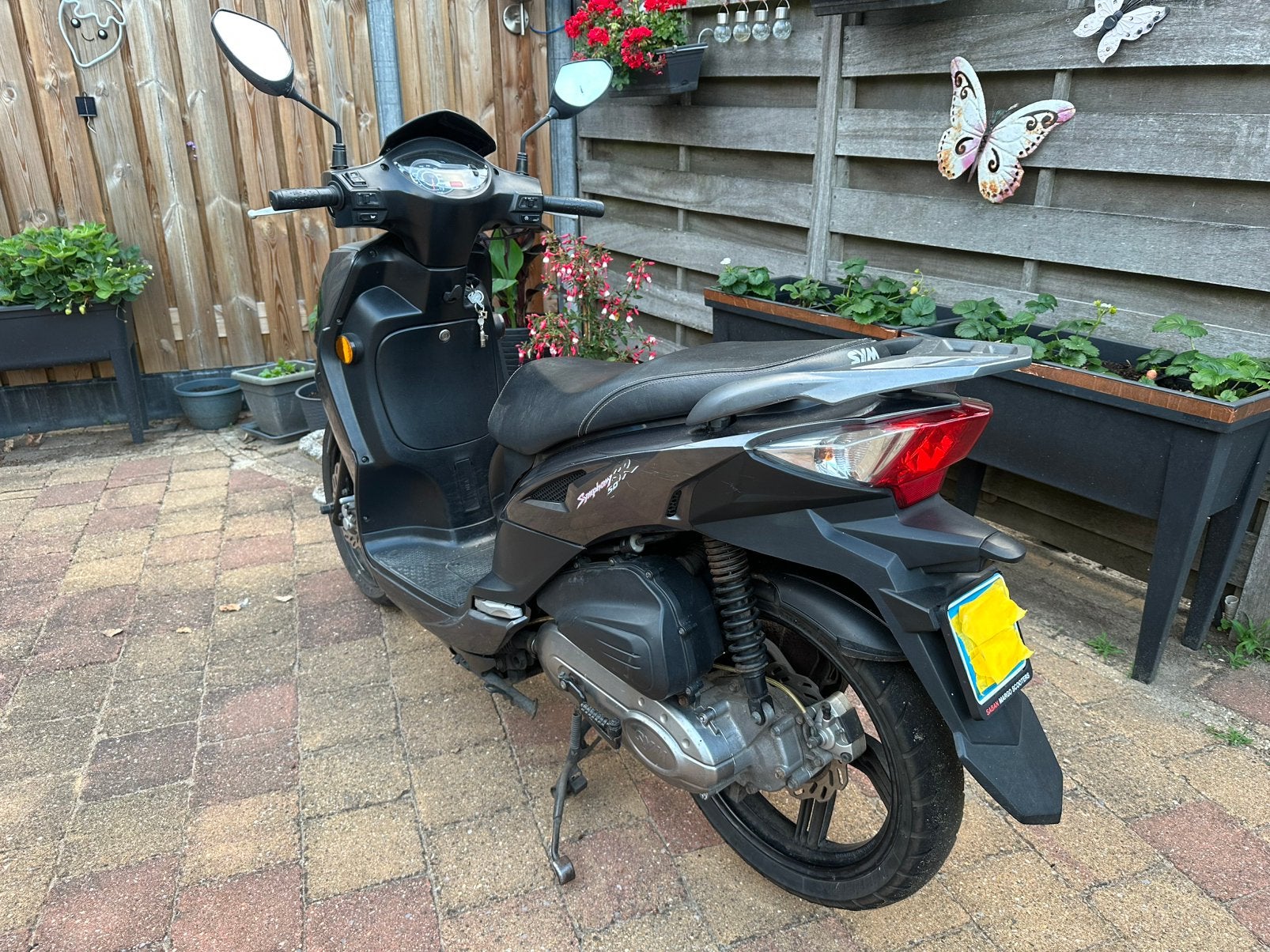 Sym symphony sr50 snor, Ophalen, Gebruikt, Overige modellen, Benzine