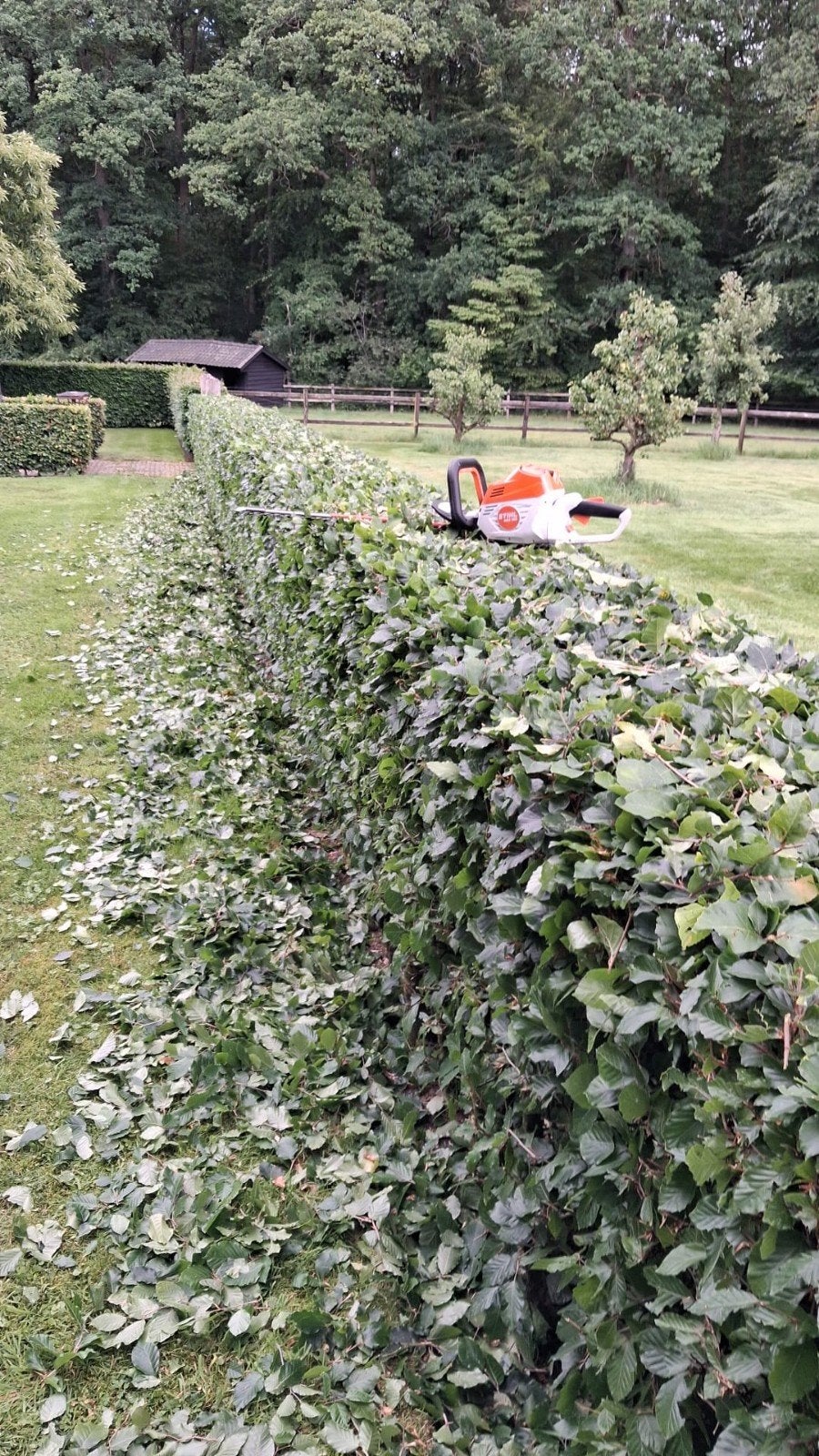 Tuinman hovenier voor al uw snoeiwerk!!, Vacatures