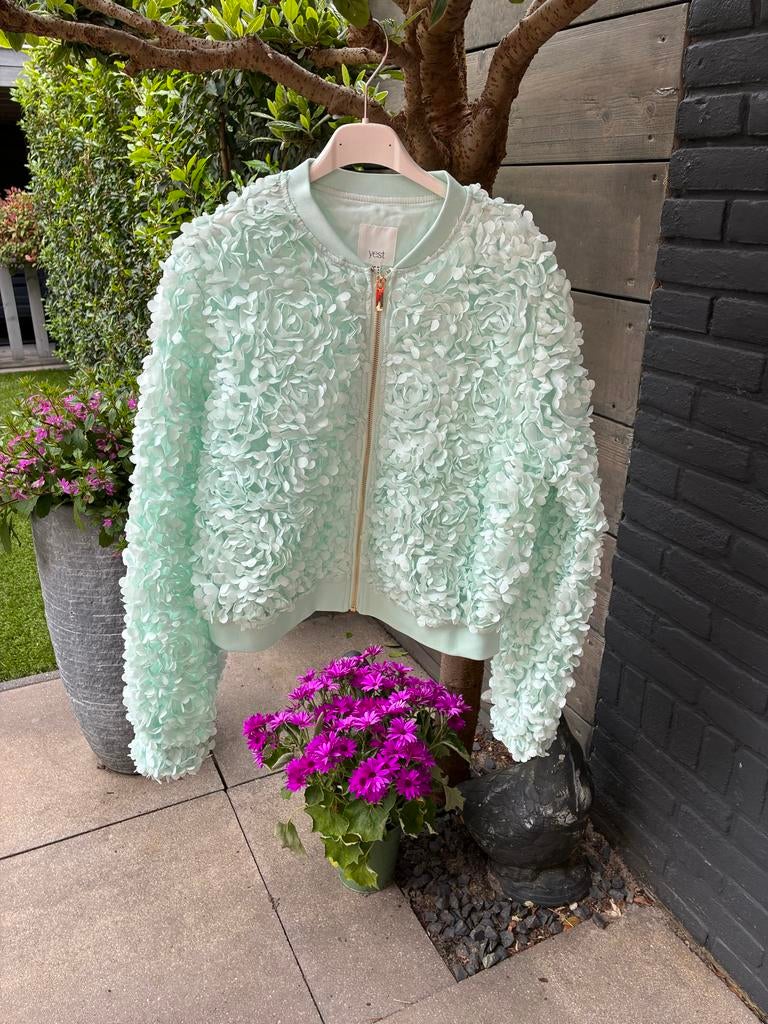 Yest Jasje Maat 36 Pastel Groen met Gouden Rits, Ophalen of Verzenden, Nieuw, Maat 36 (S), Groen
