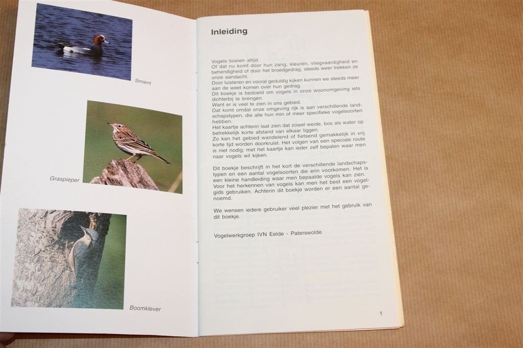 Vogels Kijken Paterswolde — IVN Eelde-Paterswolde [2002], Ophalen of Verzenden, Gelezen, Vogels
