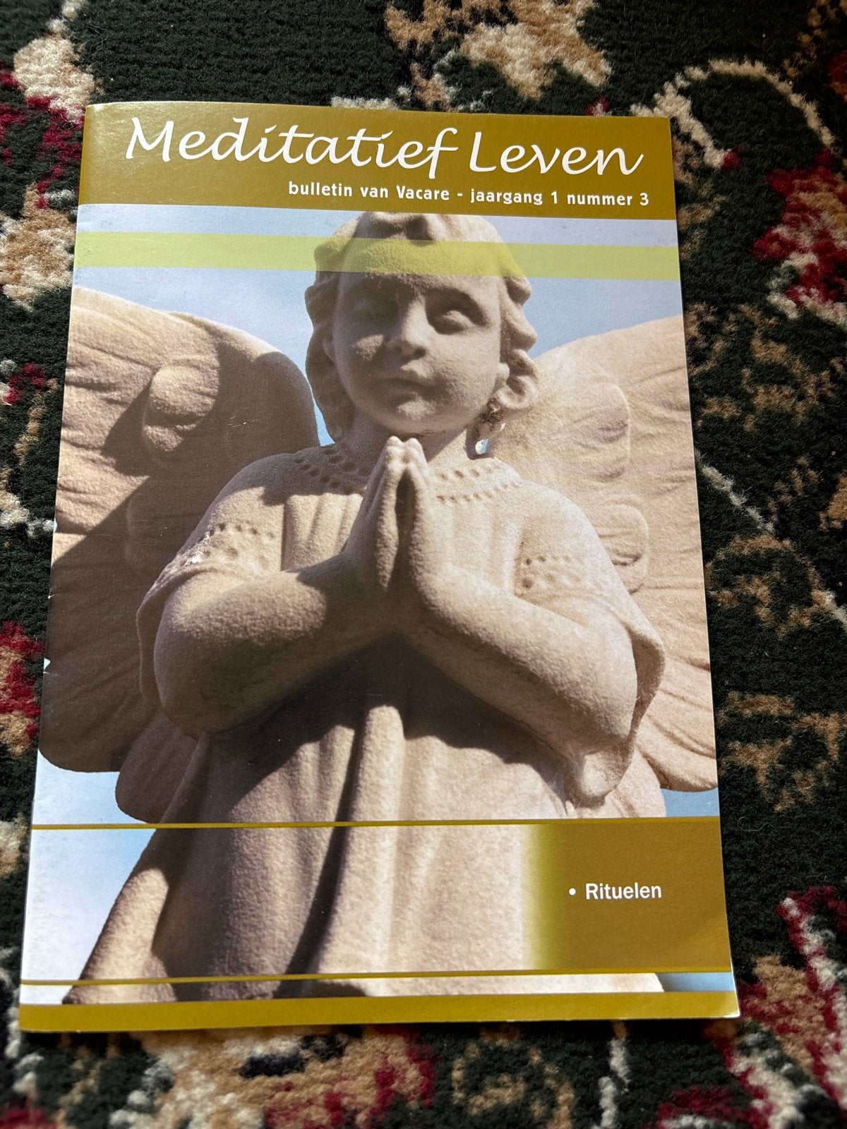 Meditatief Leven: Bulletin van Vacare - Rituelen, Boeken, Esoterie en Spiritualiteit, Ophalen of Verzenden, Gelezen, Meditatie of Yoga