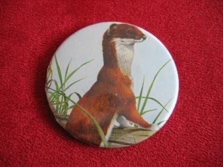 Button hermelijn wezel, Ophalen of Verzenden, Zo goed als nieuw, Wild dier, Overige typen