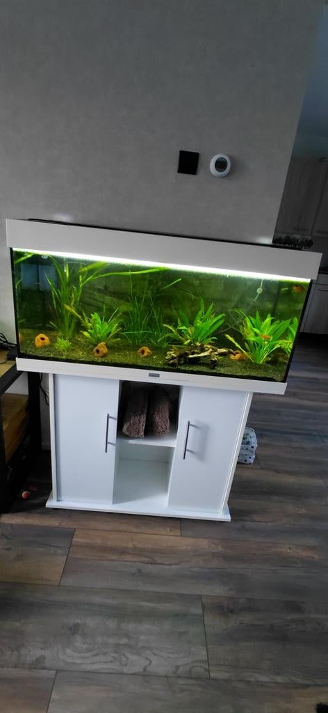 Te koop - Juwel Rio 180 met meubel, Dieren en Toebehoren, Ophalen, Zo goed als nieuw, Gevuld zoetwateraquarium