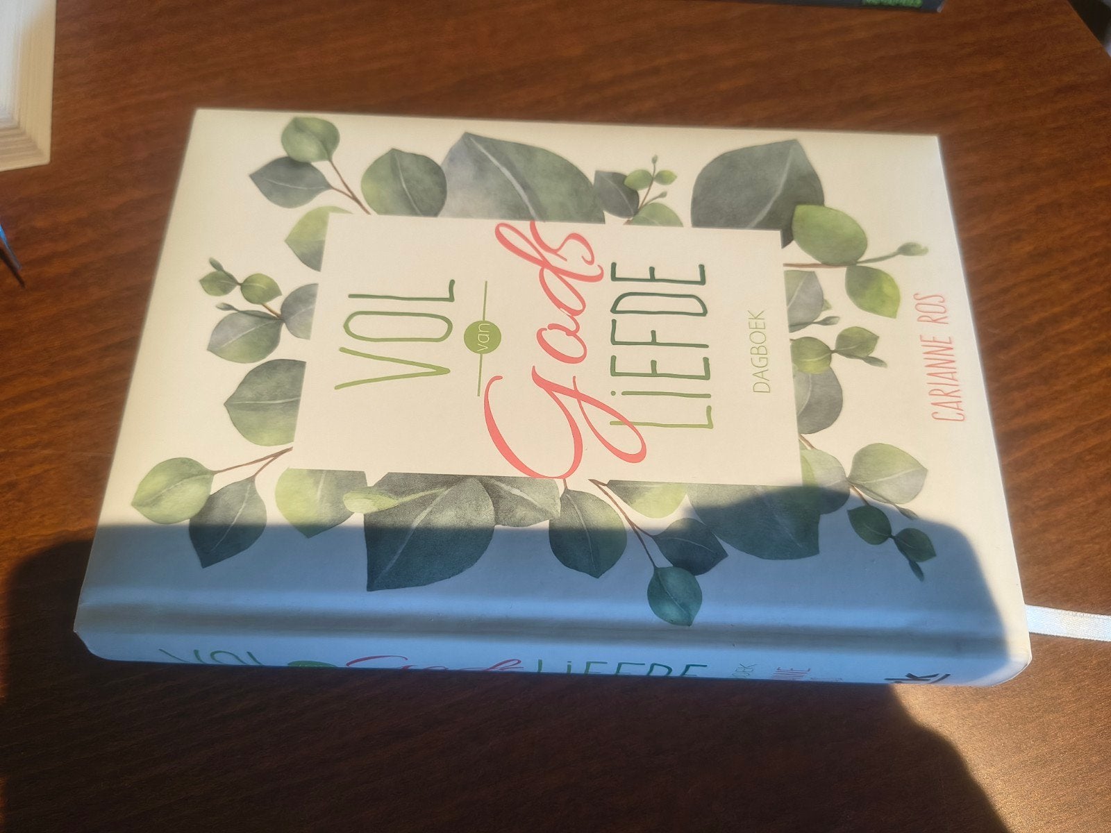 Vol van Gods Liefde - Dagboek door Carianne Ros, Boeken, Spiritualiteit algemeen, Overige typen, Ophalen of Verzenden, Zo goed als nieuw