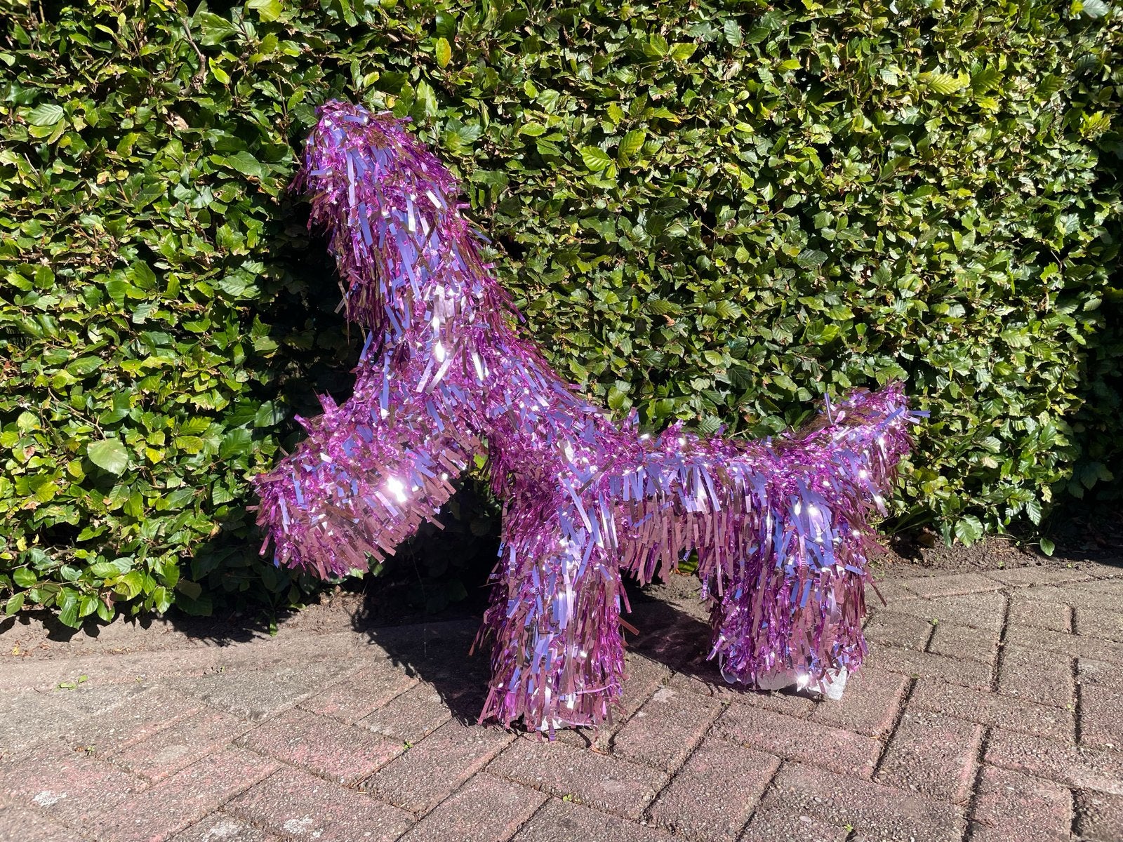 Surprise of Pinhata: opvallende paarse glitterhond, Ophalen, Gebruikt