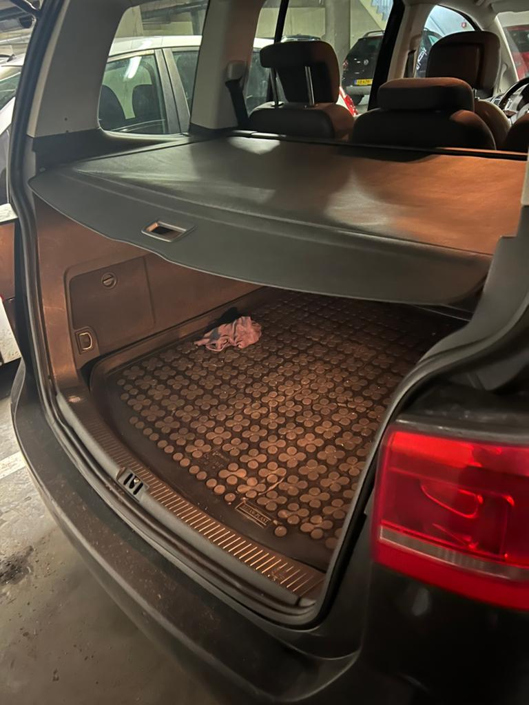 Kofferbak rolluik, Ophalen of Verzenden, Volkswagen