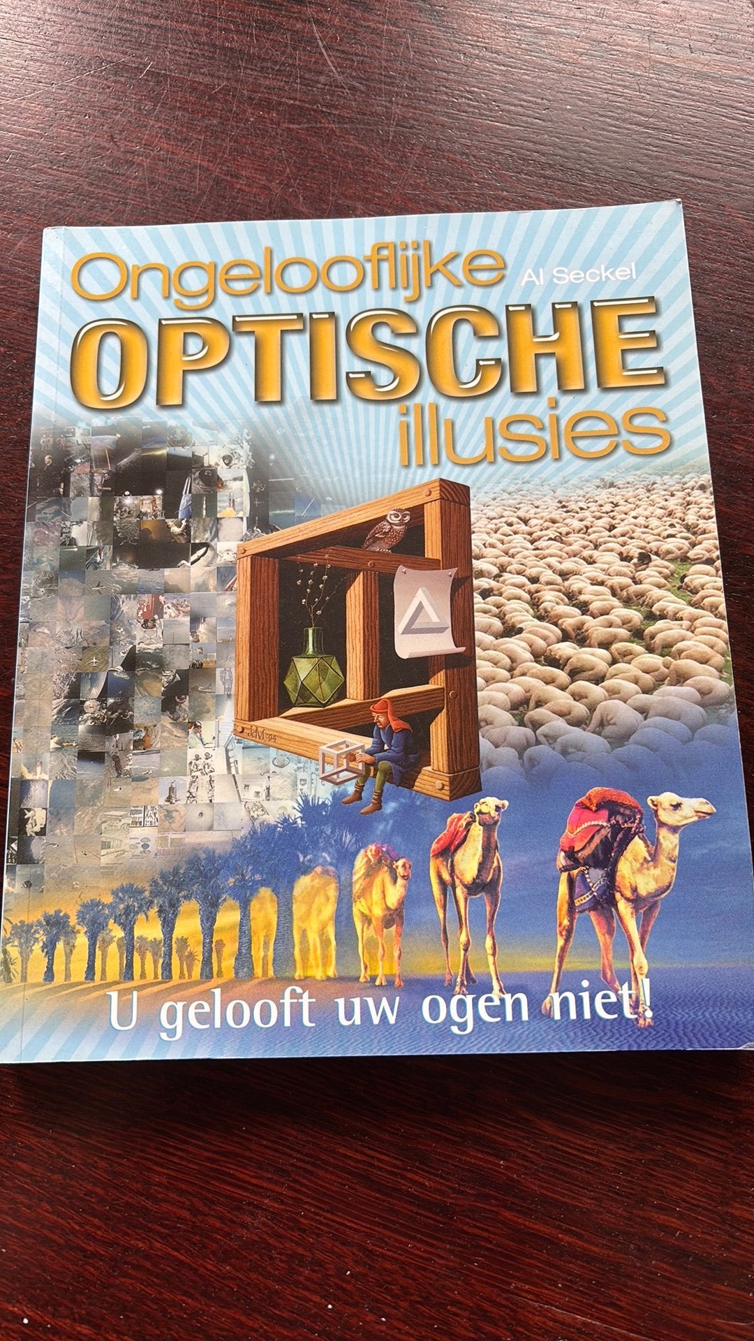Al Seckel - Ongelooflijke optische illusies, Boeken, A. Seckel, Ophalen of Verzenden, Zo goed als nieuw