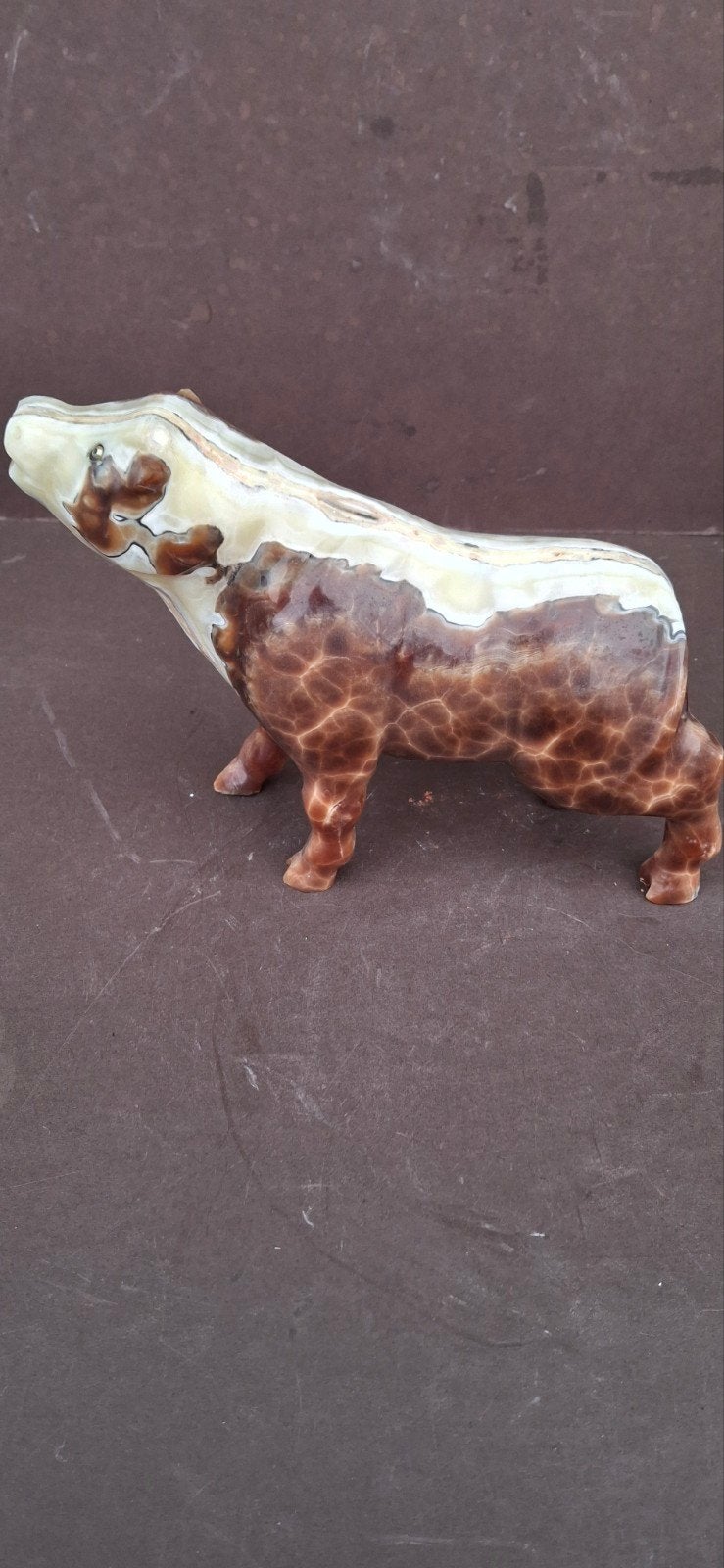 Faberge dexter bull, Ophalen of Verzenden