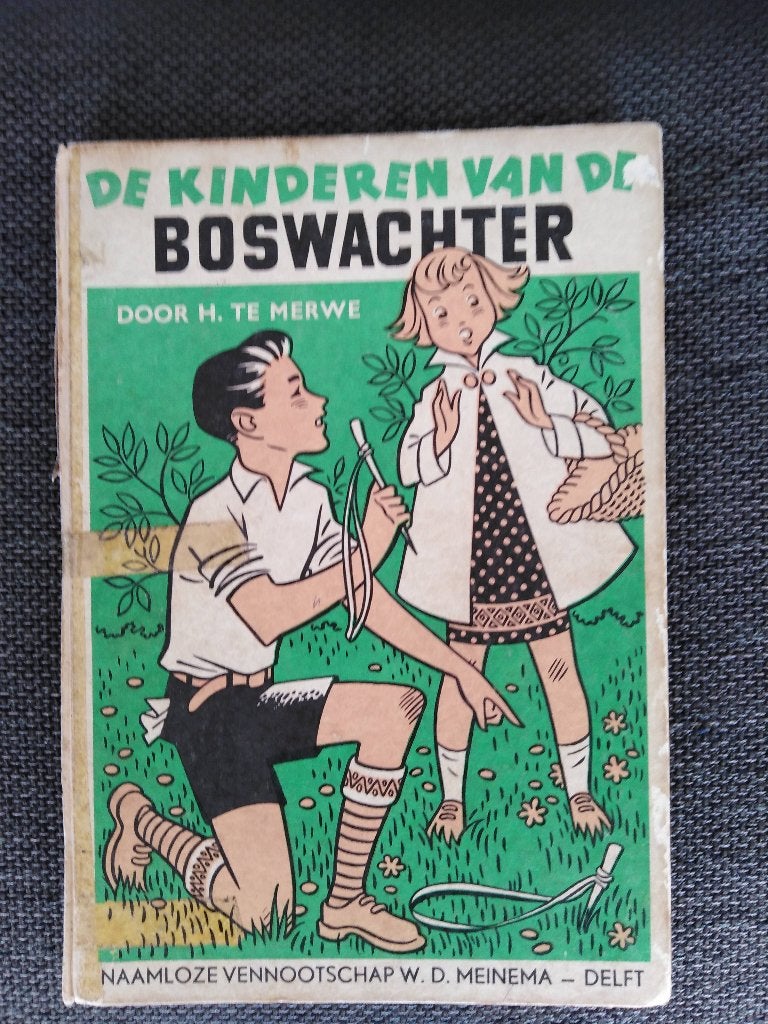Boek - De kinderen van de boswachter - H.te Merwe, Ophalen, Gelezen, H. te Merwe, Fictie