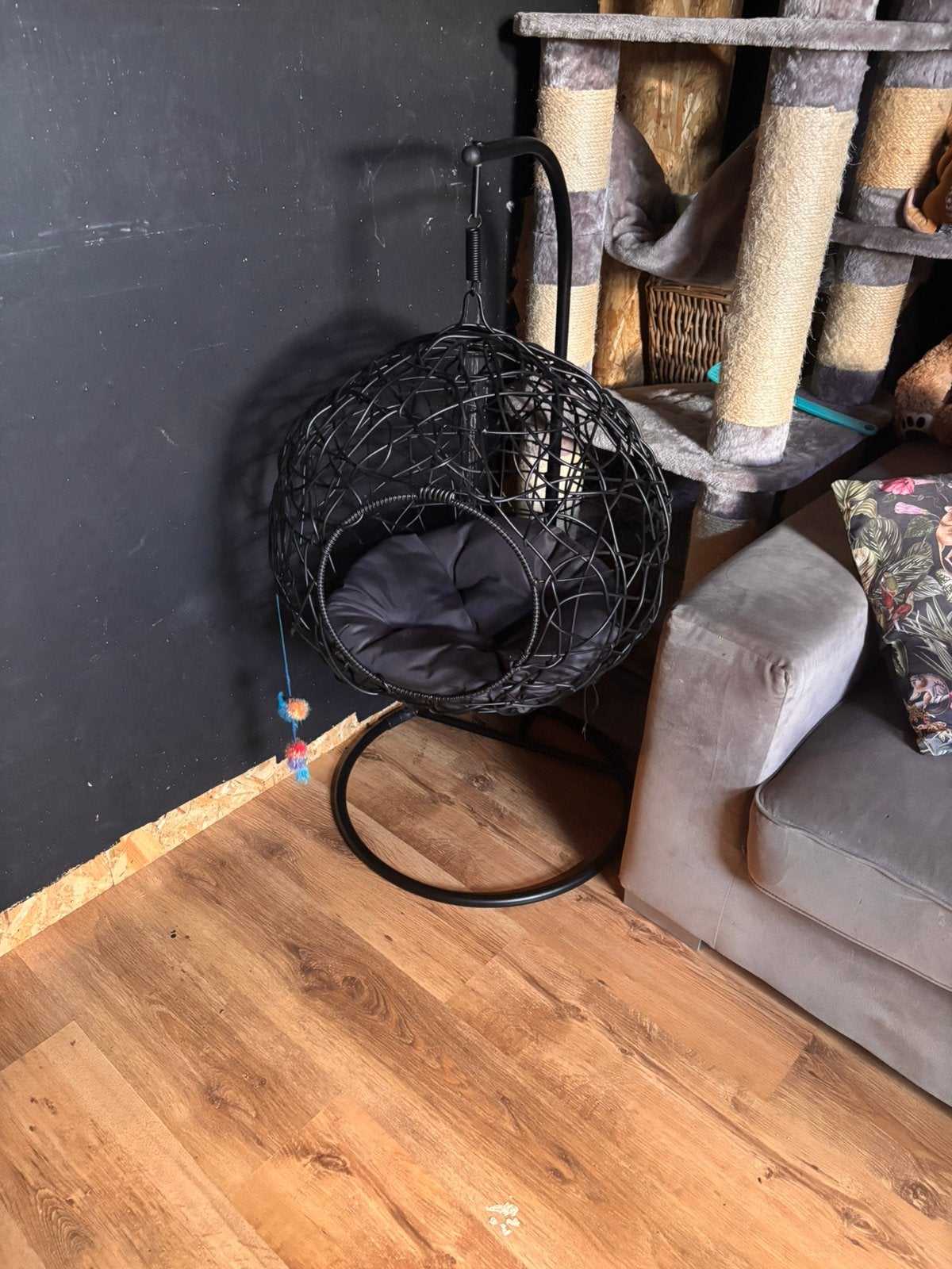 Mooie hangstoel voor katten en kleine honden, Ophalen, Zo goed als nieuw, Riet