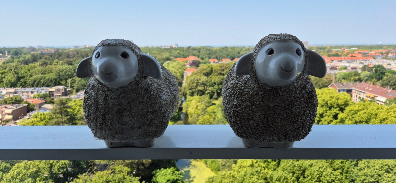 De Wolshire-familie: Twee schaapjes zoeken nieuwe graasweide, Gebruikt, Ophalen of Verzenden, Landelijk, Grijs