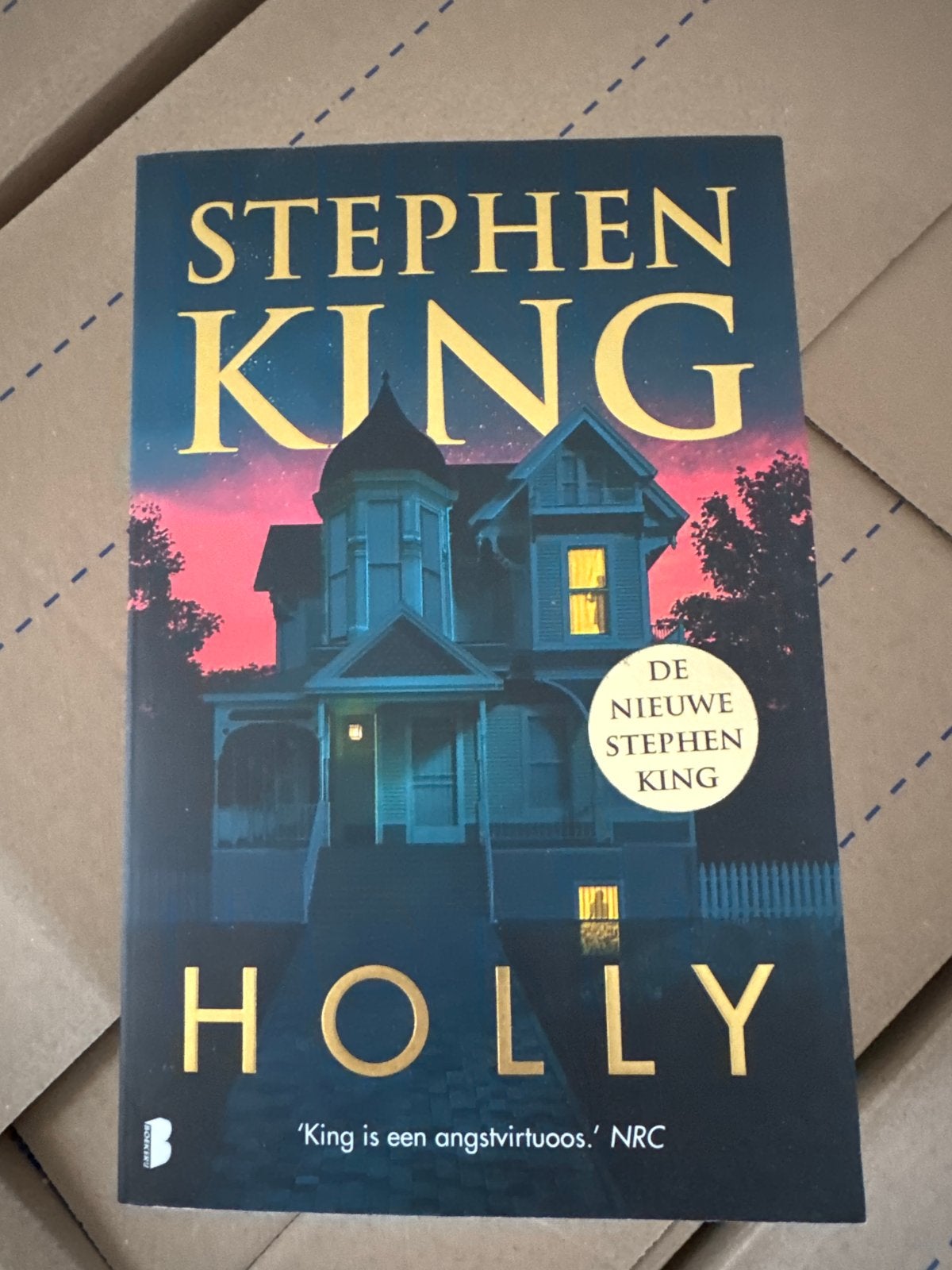 Stephen King - Holly (De Nieuwe Stephen King), Boeken, Ophalen of Verzenden, Nieuw, Nederland